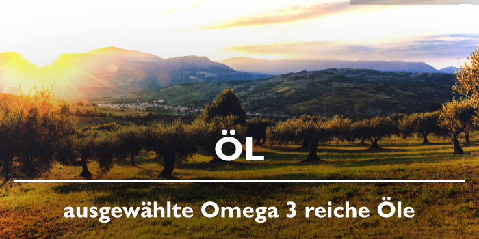 Öl - ausgewählte Omega 3 und Omega 6 reiche Öle